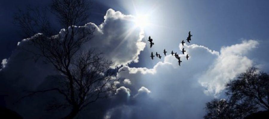 5 Good Reasons to Migrate to the Cloud