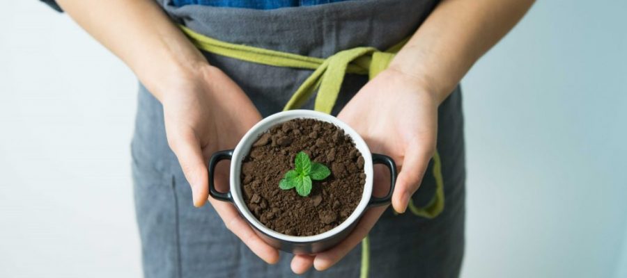 Top Agricultural Startup Ideas For Entrepreneurs To Consider