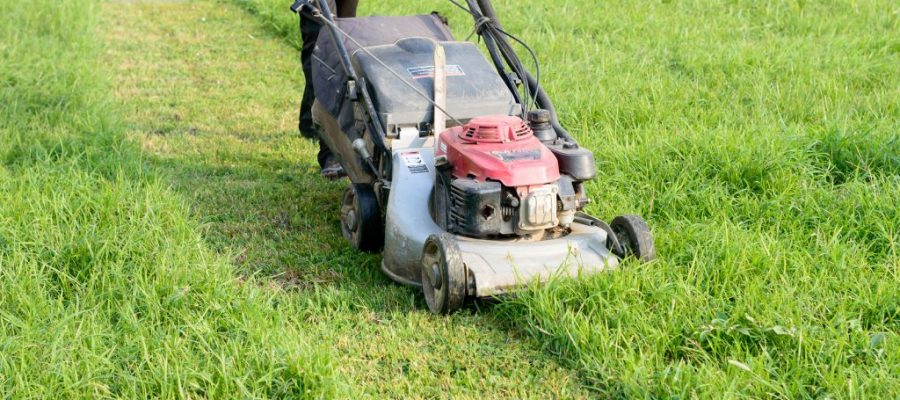 Local Marketing Tips For Your Lawn Care Business