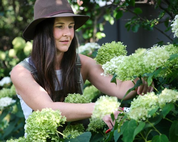 business property garden maintenance